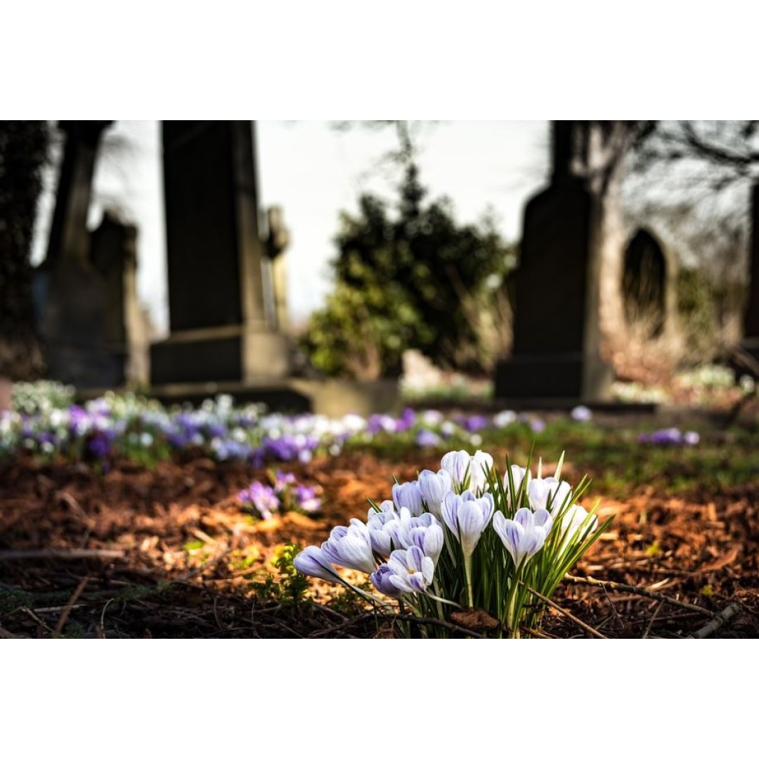 Funeral Costs and Budgeting: Understanding Your Options 