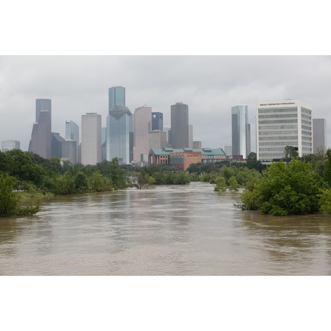 The Red Cross Houston Relief Project
